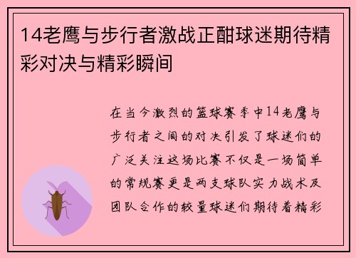 14老鹰与步行者激战正酣球迷期待精彩对决与精彩瞬间